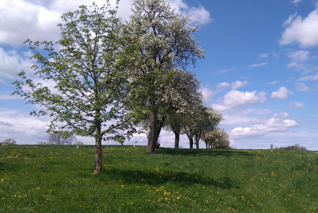 Familienbauernhof Strassbauer Villa Steinakirchen Am Forst Exteriör bild