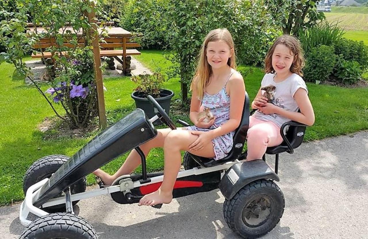 Familienbauernhof Strassbauer Villa Steinakirchen Am Forst Exteriör bild